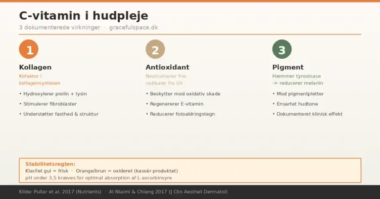 Infografik: C-vitamin i hudpleje