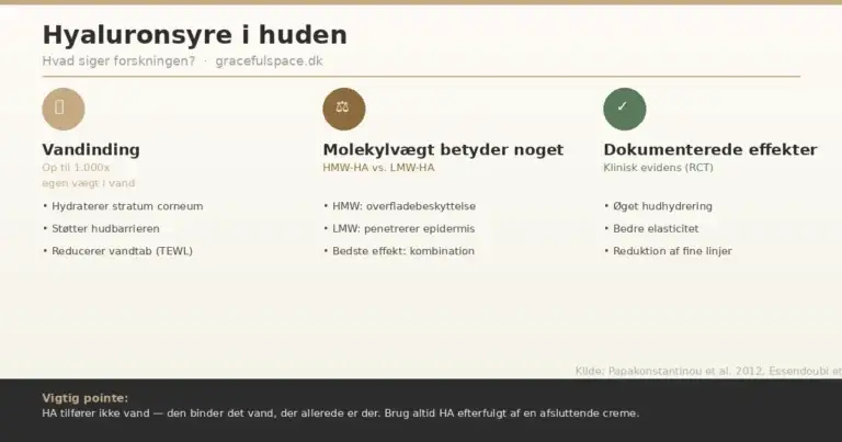 Infografik: hyaluronsyre i hudpleje