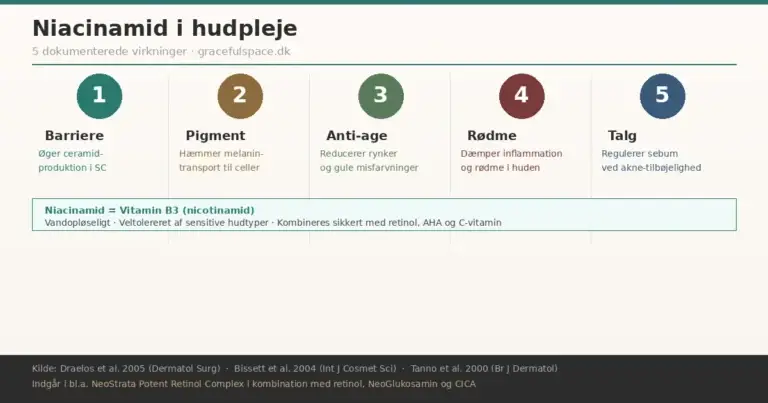 Infografik: niacinamid i hudpleje