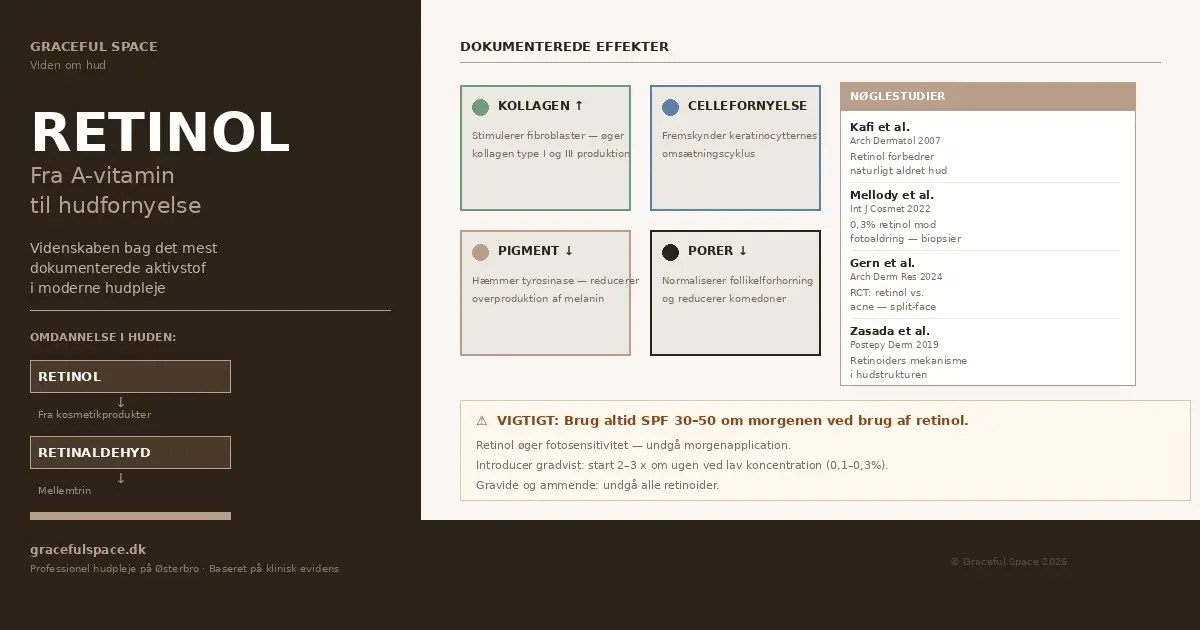 Retinol infografik — omdannelse fra A-vitamin til retinsyre og dokumenterede effekter på huden