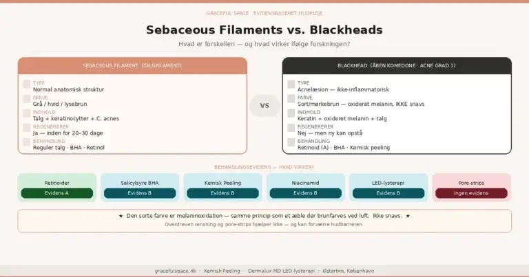 Infografik: sebaceous filaments sammenlignet med blackheads