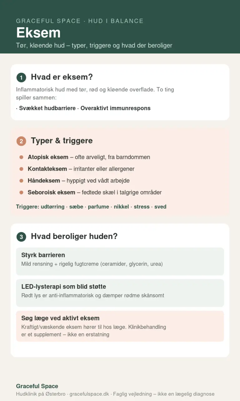 Infografik om eksem – typer, triggere og hvad der beroliger huden