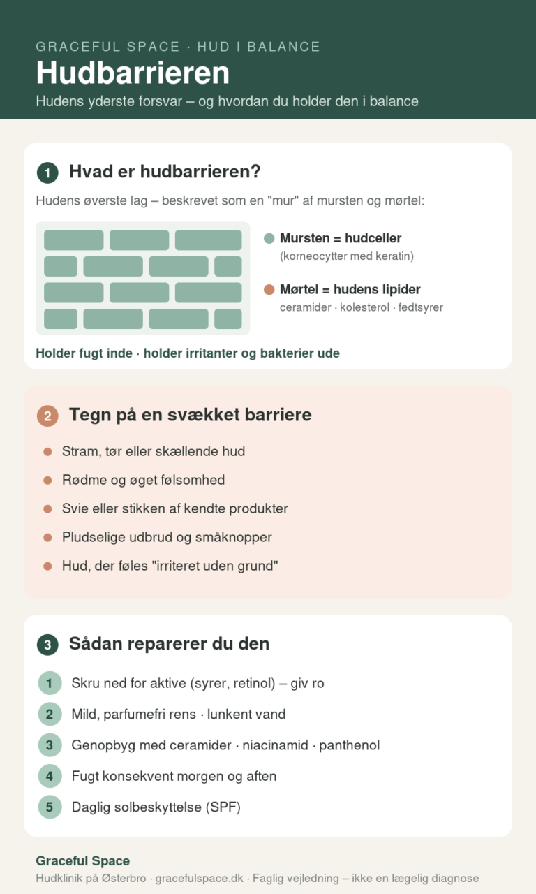 Infografik om hudbarrieren – hvad den er, tegn på skade og hvordan den repareres
