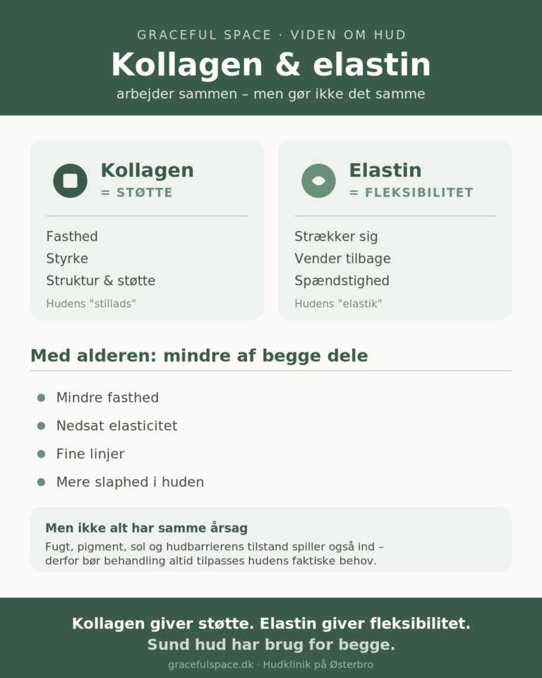 Infografik der forklarer forskellen på kollagen og elastin i huden